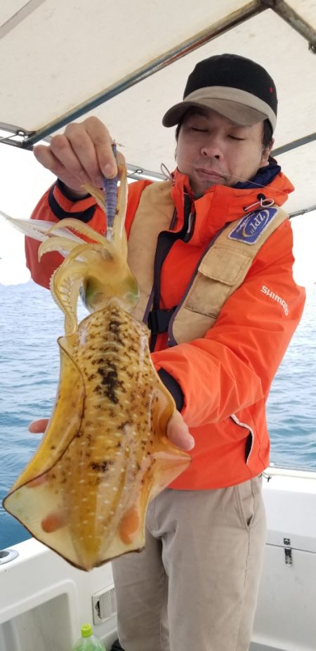 ソルトウォーターガイドフレンズ 釣果