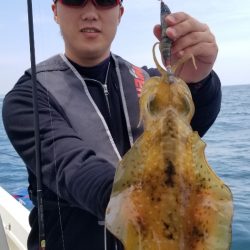 ソルトウォーターガイドフレンズ 釣果