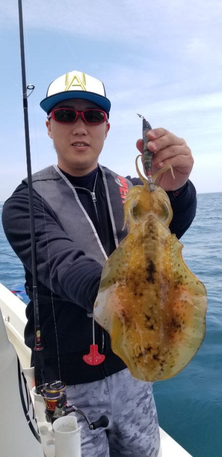 ソルトウォーターガイドフレンズ 釣果