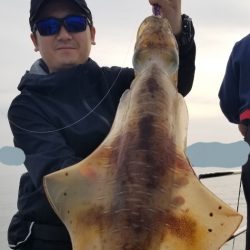 ソルトウォーターガイドフレンズ 釣果