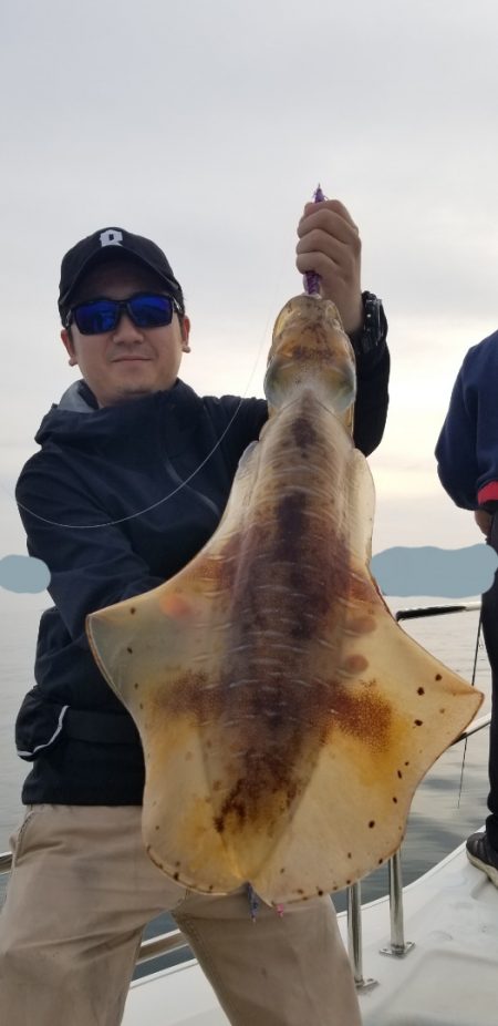 ソルトウォーターガイドフレンズ 釣果