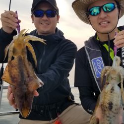 ソルトウォーターガイドフレンズ 釣果