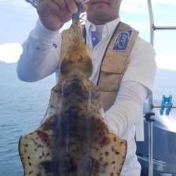 ソルトウォーターガイドフレンズ 釣果