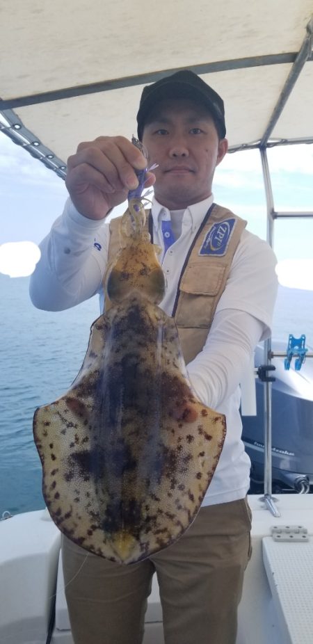 ソルトウォーターガイドフレンズ 釣果