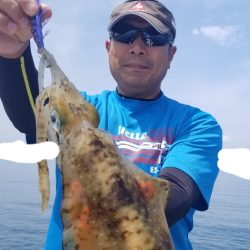 ソルトウォーターガイドフレンズ 釣果