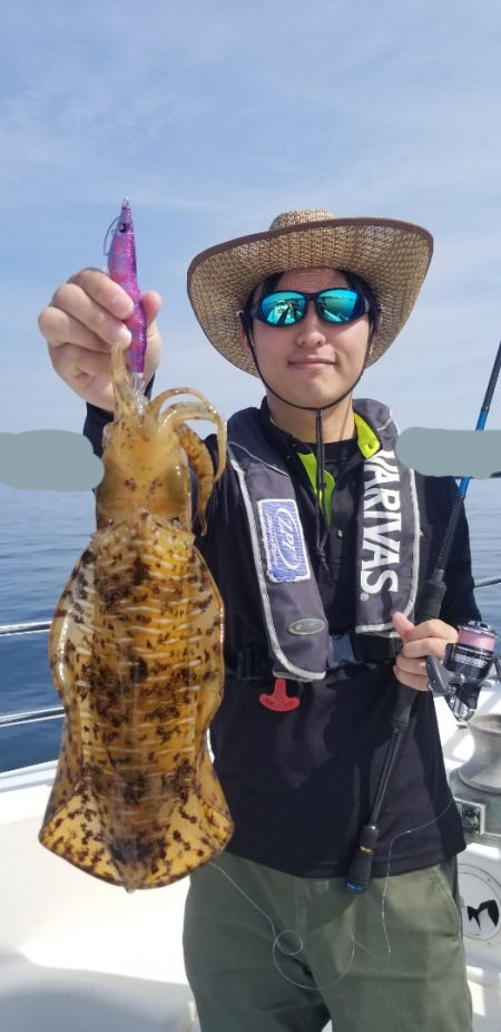 ソルトウォーターガイドフレンズ 釣果