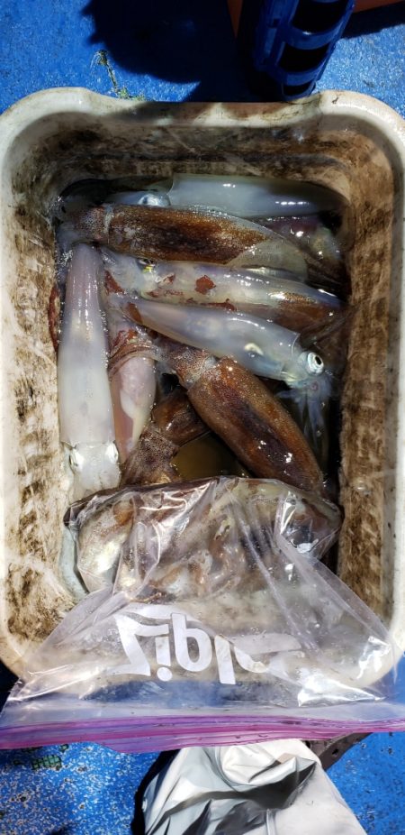 海龍丸(石川) 釣果