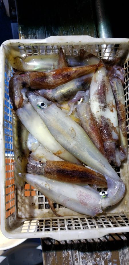 海龍丸(石川) 釣果