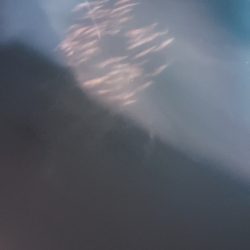 海龍丸(石川) 釣果