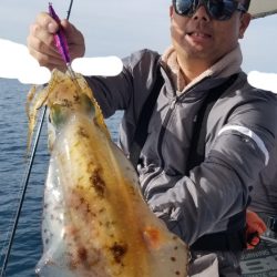 ソルトウォーターガイドフレンズ 釣果