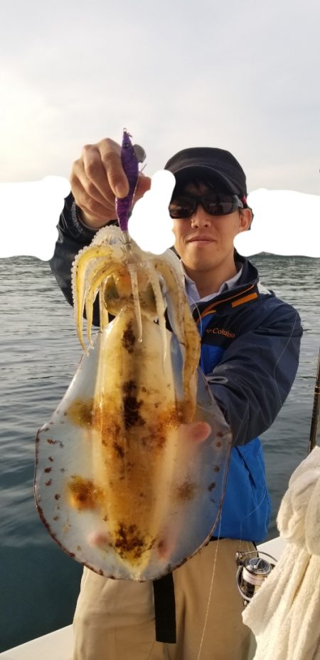 ソルトウォーターガイドフレンズ 釣果