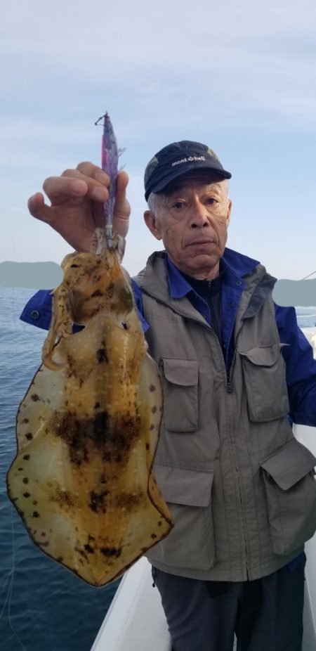 ソルトウォーターガイドフレンズ 釣果