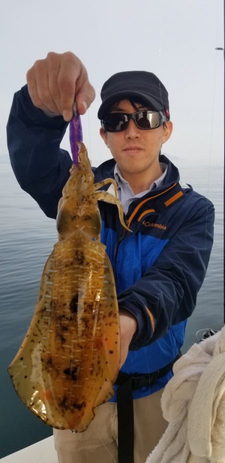 ソルトウォーターガイドフレンズ 釣果