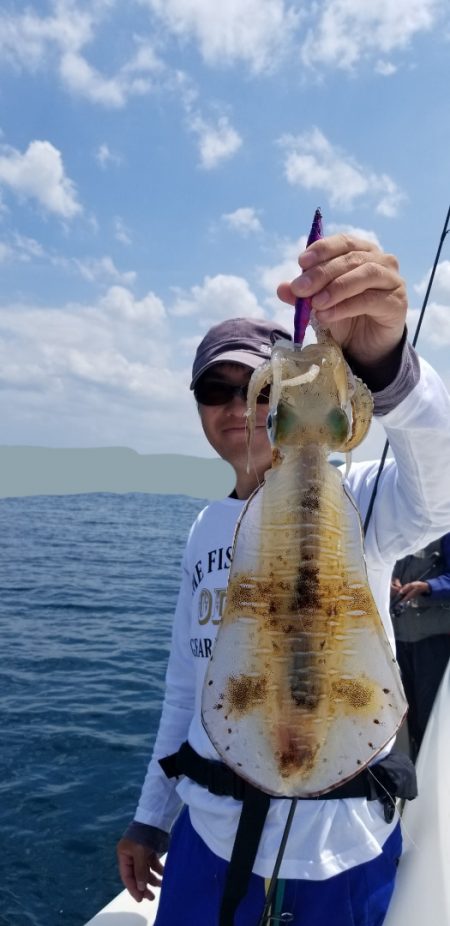 ソルトウォーターガイドフレンズ 釣果