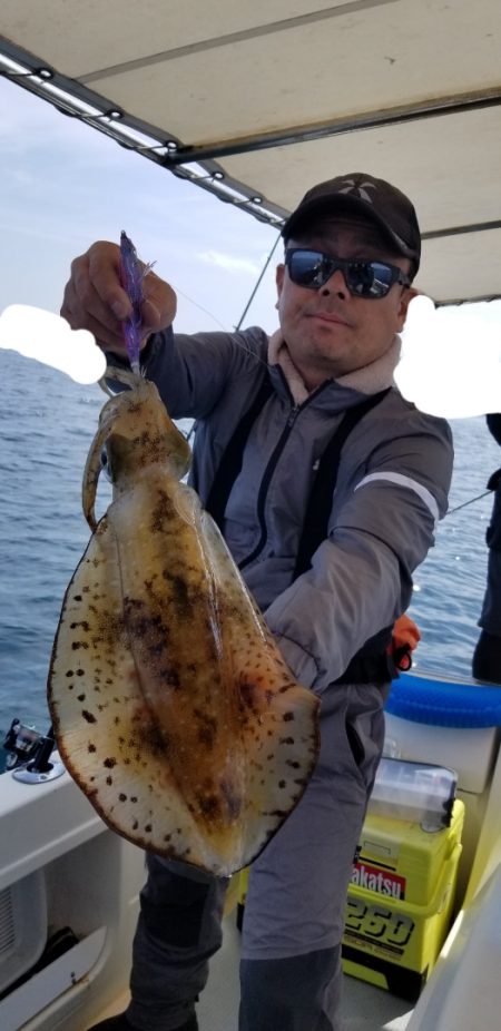 ソルトウォーターガイドフレンズ 釣果