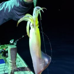 海龍丸（石川） 釣果