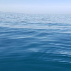 海龍丸（石川） 釣果