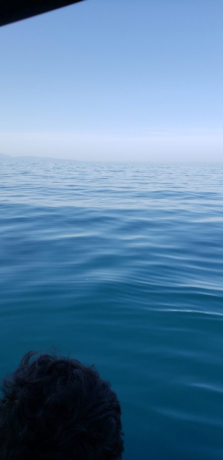 海龍丸（石川） 釣果