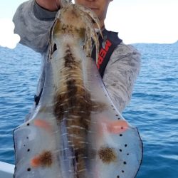 ソルトウォーターガイドフレンズ 釣果