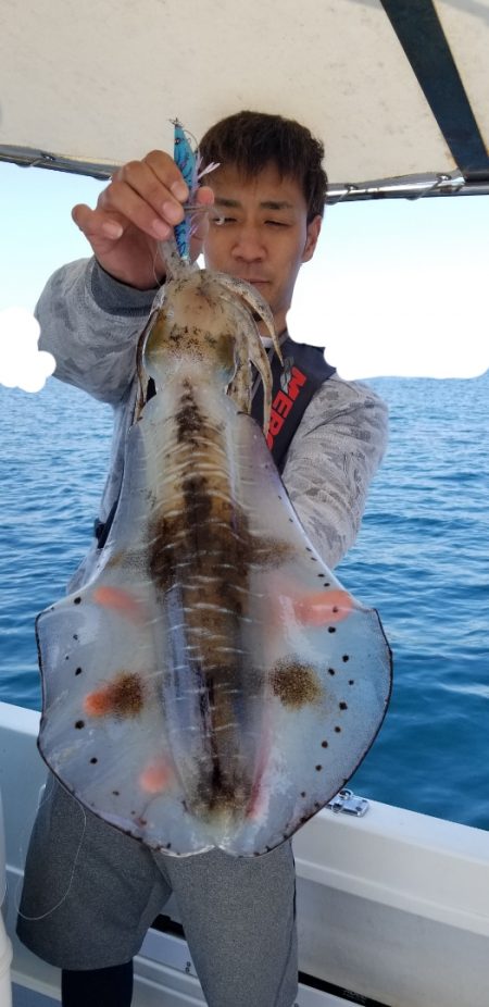 ソルトウォーターガイドフレンズ 釣果