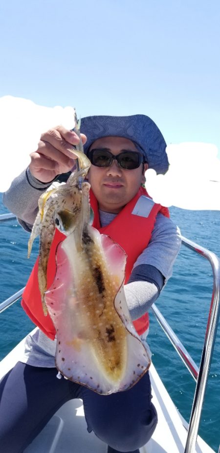 ソルトウォーターガイドフレンズ 釣果