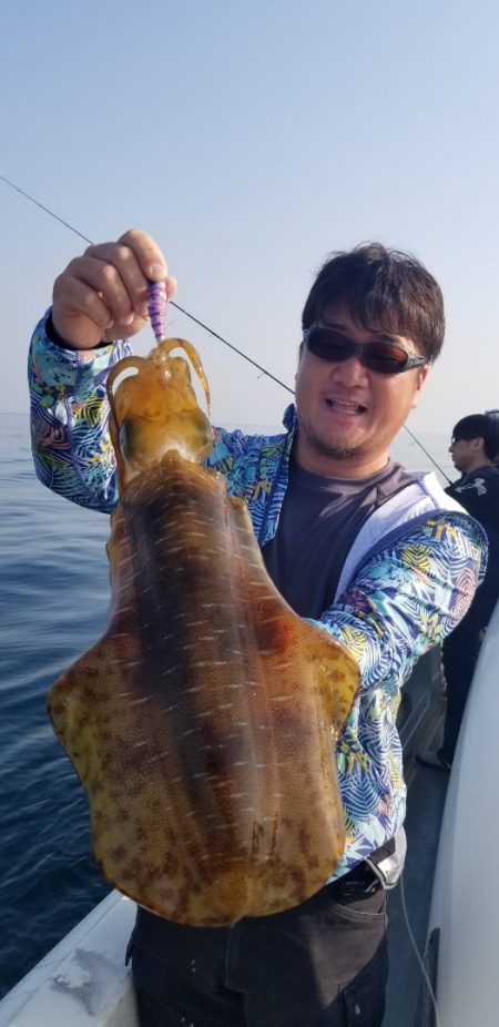 ソルトウォーターガイドフレンズ 釣果