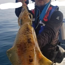 ソルトウォーターガイドフレンズ 釣果