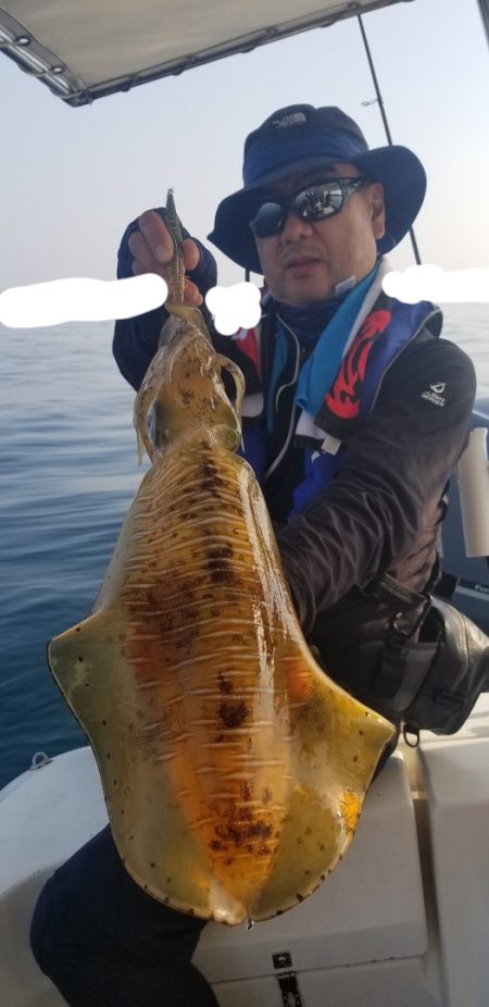 ソルトウォーターガイドフレンズ 釣果