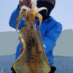 ソルトウォーターガイドフレンズ 釣果