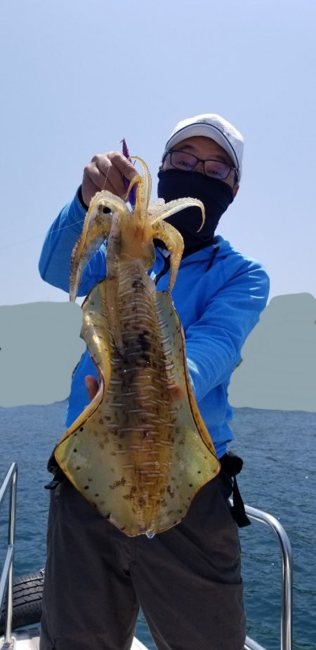 ソルトウォーターガイドフレンズ 釣果