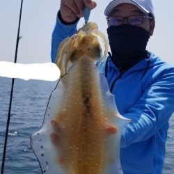 ソルトウォーターガイドフレンズ 釣果