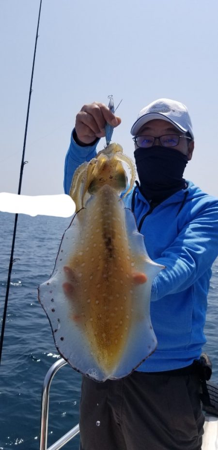 ソルトウォーターガイドフレンズ 釣果