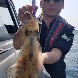 ソルトウォーターガイドフレンズ 釣果