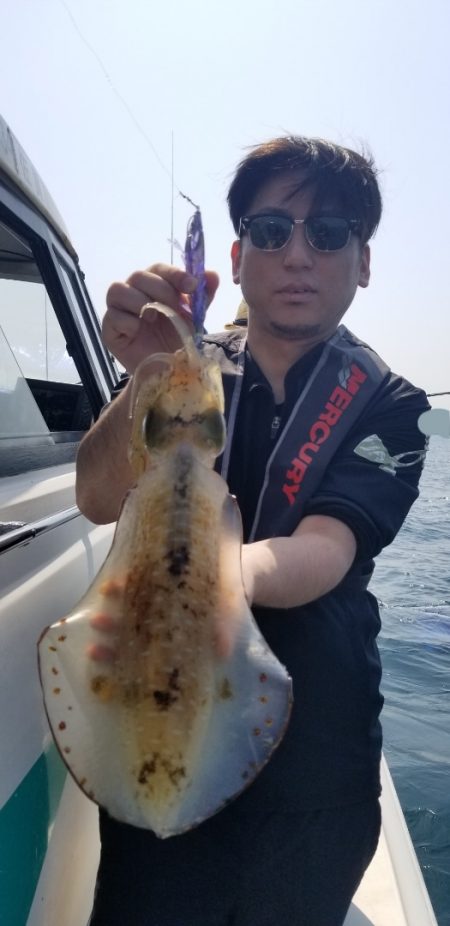 ソルトウォーターガイドフレンズ 釣果