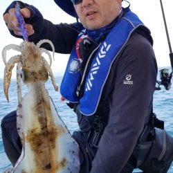 ソルトウォーターガイドフレンズ 釣果