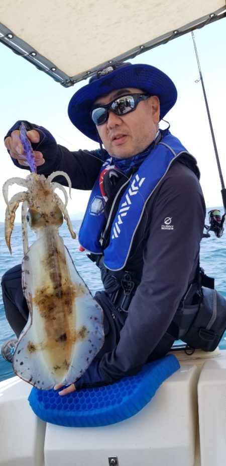 ソルトウォーターガイドフレンズ 釣果