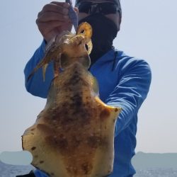 ソルトウォーターガイドフレンズ 釣果