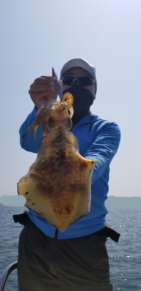 ソルトウォーターガイドフレンズ 釣果