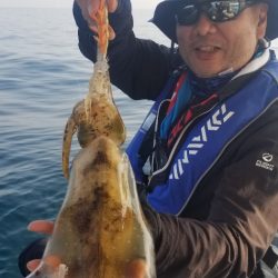 ソルトウォーターガイドフレンズ 釣果