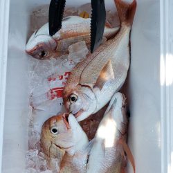 海龍丸（石川） 釣果