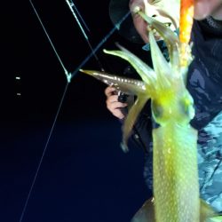 海龍丸（石川） 釣果