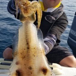 ソルトウォーターガイドフレンズ 釣果