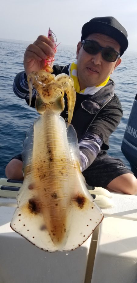 ソルトウォーターガイドフレンズ 釣果