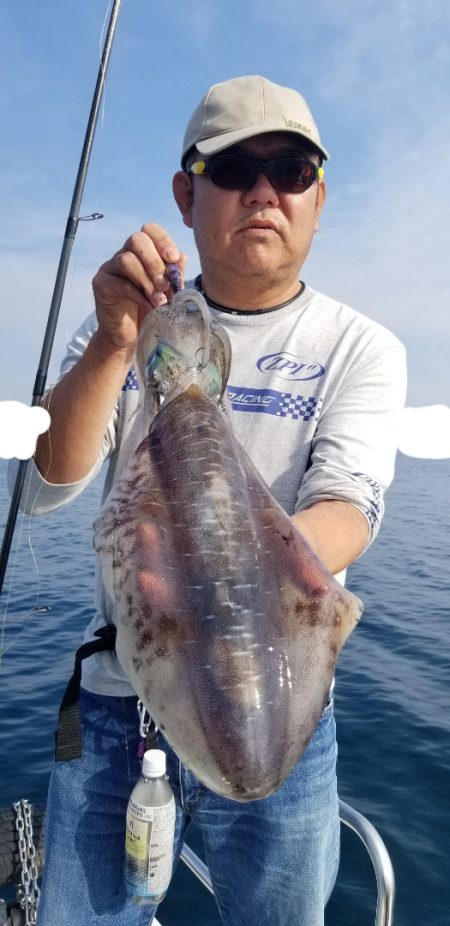 ソルトウォーターガイドフレンズ 釣果