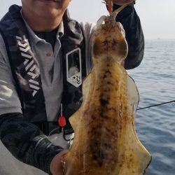 ソルトウォーターガイドフレンズ 釣果