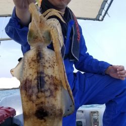 ソルトウォーターガイドフレンズ 釣果