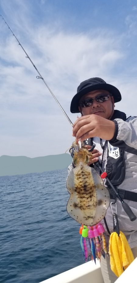 ソルトウォーターガイドフレンズ 釣果