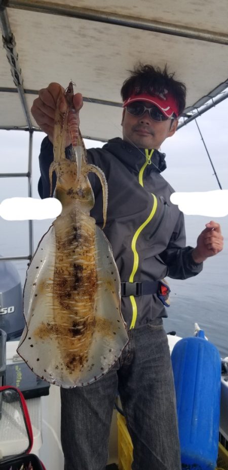 ソルトウォーターガイドフレンズ 釣果