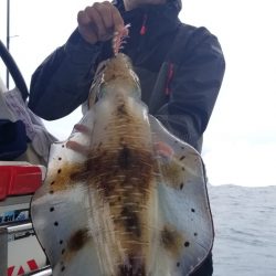 ソルトウォーターガイドフレンズ 釣果