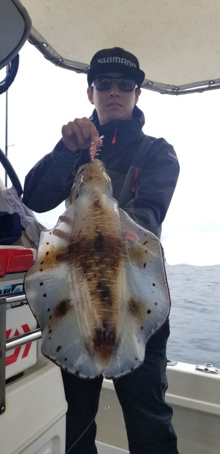 ソルトウォーターガイドフレンズ 釣果